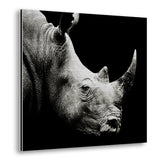 Rhino Metal Wall Art
