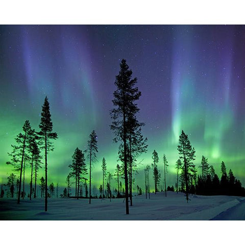 Aurora Borealis/ Northern Lights Wall Mural