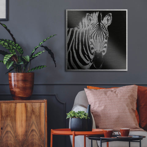 Zebra Metal Wall Art