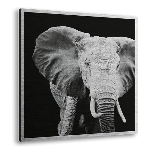 Elephant Metal Wall Art