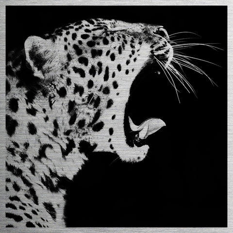Cheetah Metal Wall Art