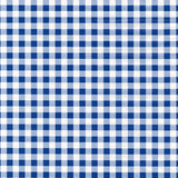 Blue Gingham Peel And Stick Liner