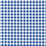 Blue Gingham Peel And Stick Liner