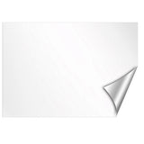 White Dry-Erase Peel and Stick Board