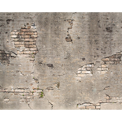 Broken Concrete Wall Mural