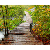 Path to Enlightenment Wall Mural