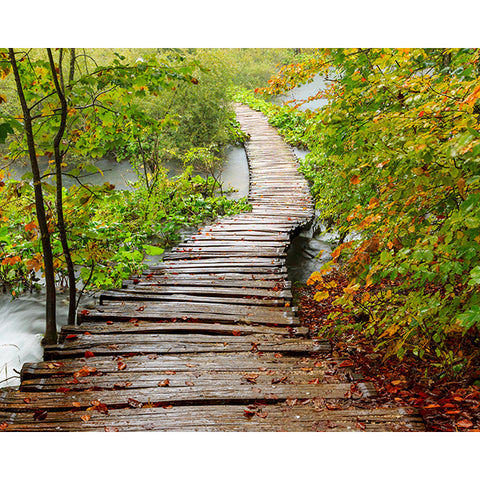 Path to Enlightenment Wall Mural