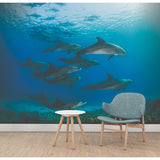 Underwater Dolphins Wall Mural